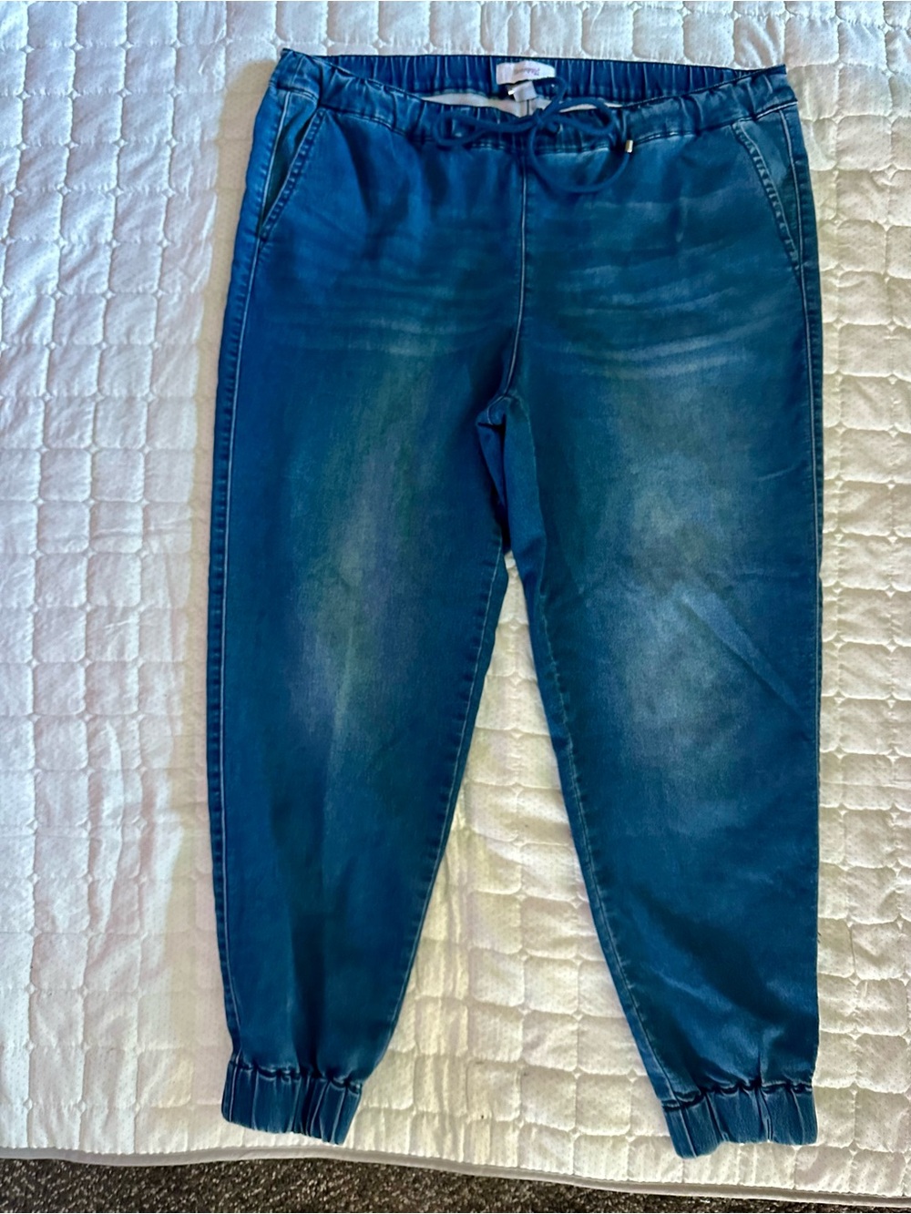 Woman’s  Elastic-Waist Blue Jogger Jeans 1X